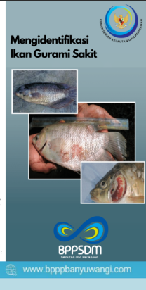 Mengidentifikasi Ikan Gurami yang Sakit BP3 Banyuwangi