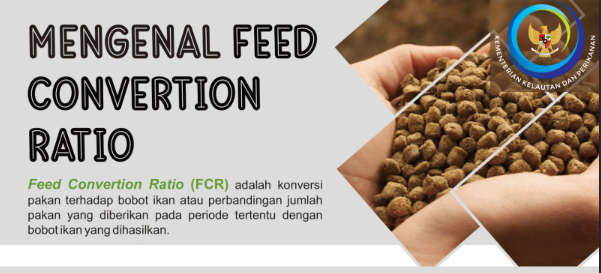 Mengenal Feed Convertion Ratio BP3 Banyuwangi